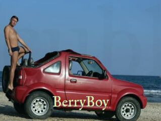 BerryBoy