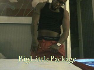 BigLittlePackage
