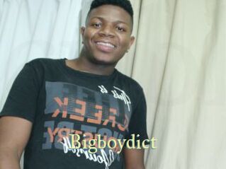 Bigboydict