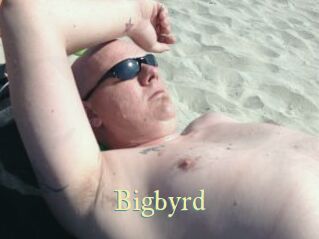 Bigbyrd