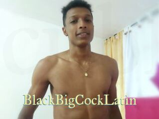 BlackBigCockLatin