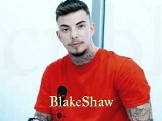 BlakeShaw Cube Lille
