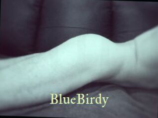 BlueBirdy