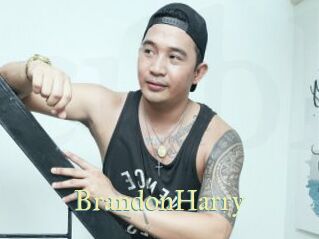BrandonHarry