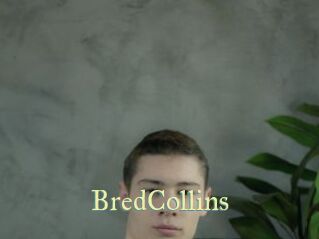 BredCollins