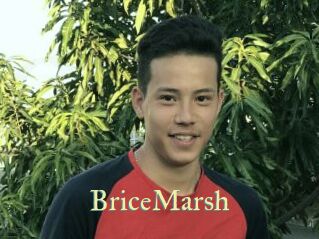 BriceMarsh
