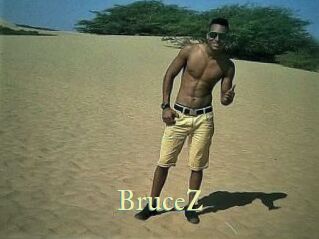 BruceZ