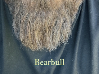 bearbull Cube Lille