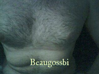 Beaugossbi