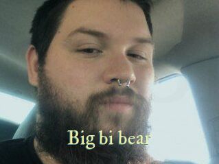 Big_bi_bear
