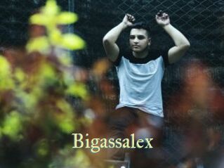 Bigassalex