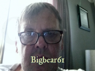 bigbear61 Cube Lille