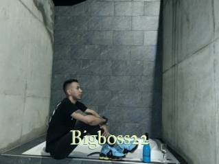Bigboss22