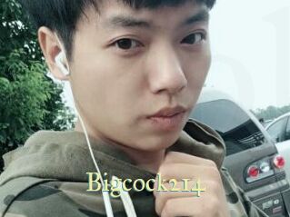 Bigcock214