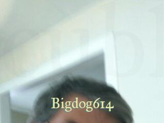 Bigdog614