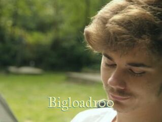 Bigload100