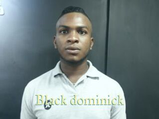 Black_dominick