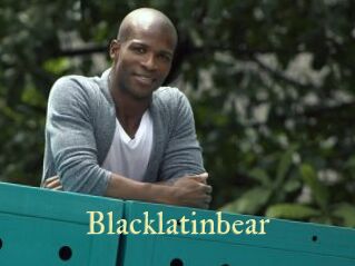 Blacklatinbear