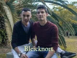 Bleicknort