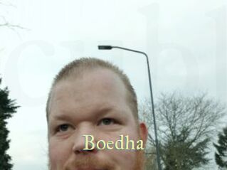 Boedha