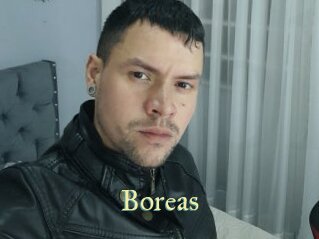 boreas Cube Lille