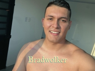 bradwolker Cube Lille