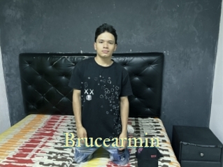 Brucearmin