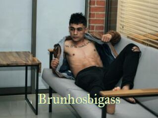 Brunhosbigass