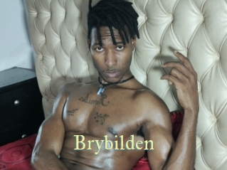 Brybilden