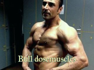 bull_dosemuscles Cube Lille