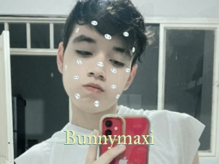 bunnymaxi Cube Lille
