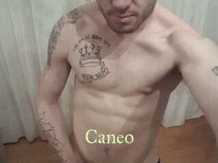 Caneo