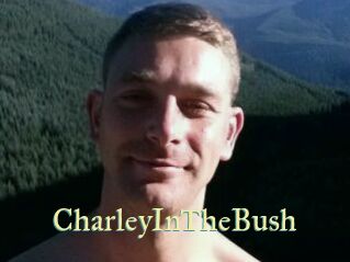 CharleyInTheBush
