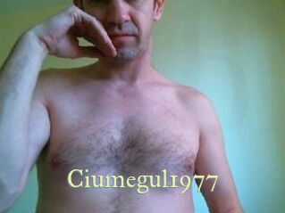 Ciumegul1977