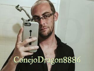 ConejoDragon8886