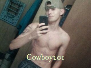 Cowboy201