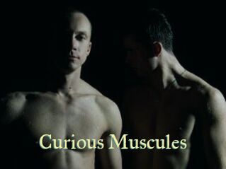 Curious_Muscules