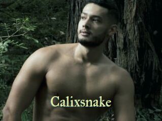 Calixsnake