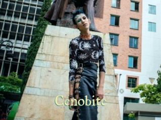 cenobite Cube Lille