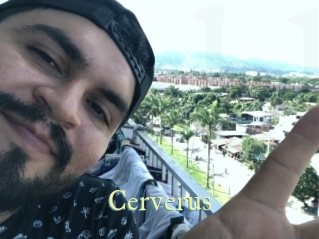 Cerverus