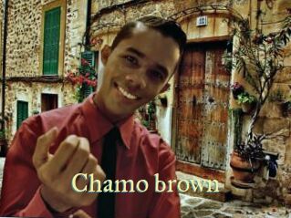 Chamo_brown