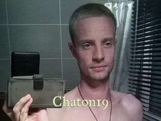 Chaton19
