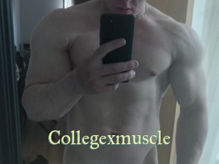 Collegexmuscle