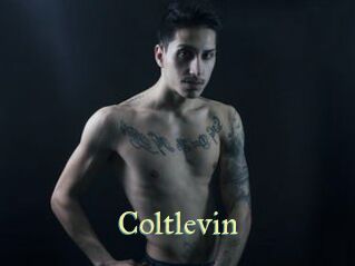 Coltlevin