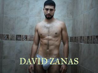 DAVID_ZANAS