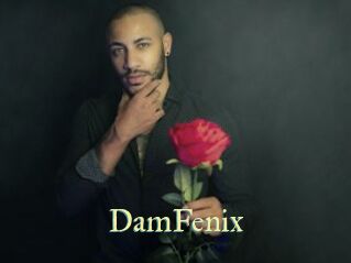 DamFenix