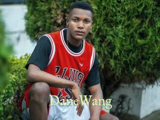 DaneWang Cube Lille