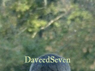 DaveedSeven