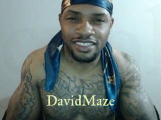 David_Maze