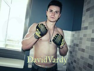 DavidVardy